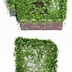 3D model Botanical Planter Waratah