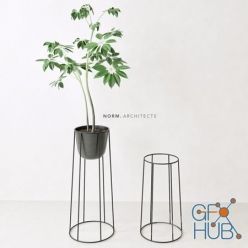 3D model Plant ficus (Norm architects)