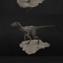 3D model Raptor