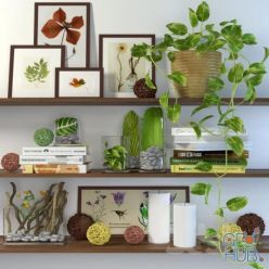 3D model Shelf decor