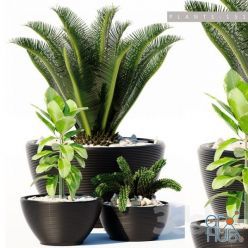 3D model PLANTS 151