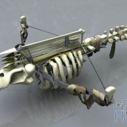 3D model Crossbow "Skeleton"