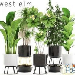 3D model Flowerpots West Elm with plants