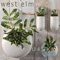 3D model West Elm Ceramic Wall Planters