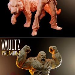 3D model Vaultz Pack – 3D Print
