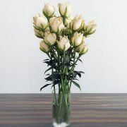 3D model Bouquet of white roses