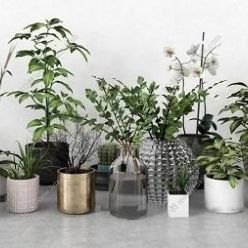 3D model Modern Cactus Green Plant Potted Vase Flower Arrangement