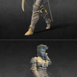 3D model Tarian the mercenaryan Art – 3D Print