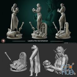 3D model Laedria necromancer – 3D Print