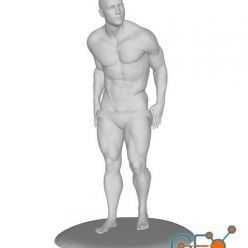 3D model Stripper – 3D Print