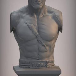 3D model Sagat bust – 3D Print