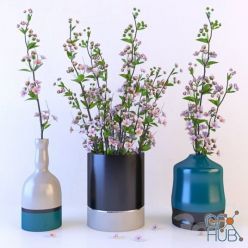 3D model Branches of cherry in vases