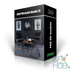 3D model 3DDD PRO models – Bundle 25