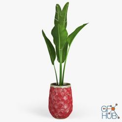 3D model Banana Palm Hive Vases