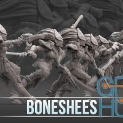 3D model Boneshees Plus Squad – 3D Print