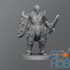 3D model ﻿Warforged ver.1 – 3D Print