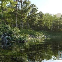 3D model Nouvelle Mesure Lab – Beaver Lake Pack (3D Plants)