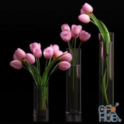 3D model TULIP 5