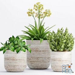 3D model Potted plants in eco style