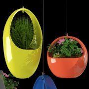 3D model CHIVE Hangings potted plants