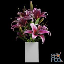 3D model Bouquet of pink lilies