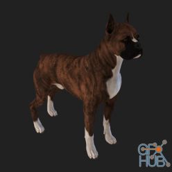 3D model Bull Terrier Dog