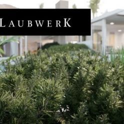 3D model Laubwerk Plant Collection 1-5 for 3ds Max & SketchUp (Latest update) Win