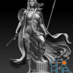 3D model Valkyrie Washed – 3D Print
