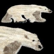 3D model Fredrik Bjurhager Bear rug