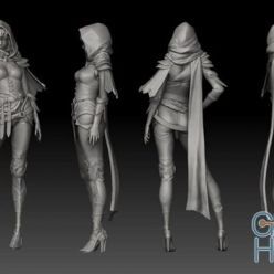 3D model Assassin Girl – 3D Print