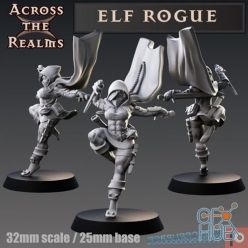 3D model Elf Rogue – 3D Print