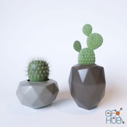 3D model Cactus decor