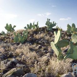 3D model Nouvelle Mesure Lab – Apache Desert Pack