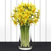 3D model Daffodils in vase