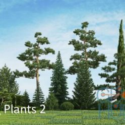 3D model vrayc4d – HQ Plants vol.2 for Cinema 4D