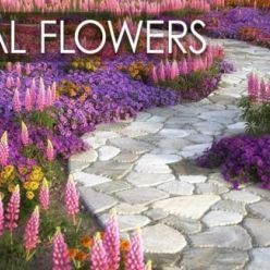 3D model VIZPARK – Real Flowers