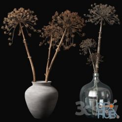 3D model Heracleum in a vase