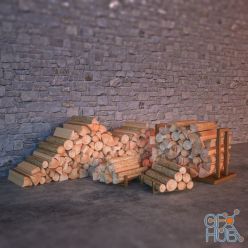 3D model Firewood with stands
