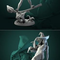 3D model Anita the Young Witch – 3D Print