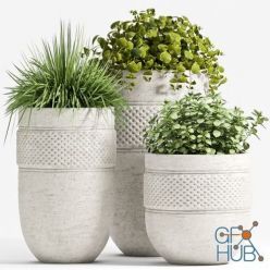 3D model Modern flowerpots with plants