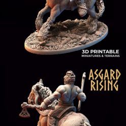 3D model Asgard Rising - Viking Rider 5