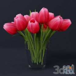 3D model Tulips in a vase
