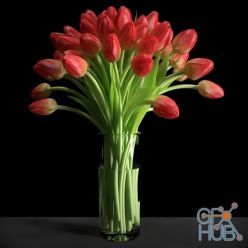 3D model A large bouquet of red tulips