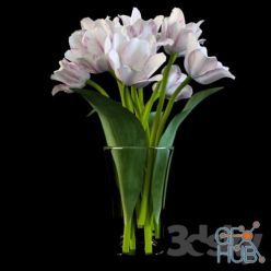 3D model White tulips in glass vase