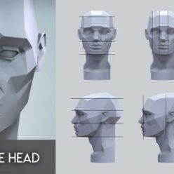 3D model ArtStation Marketplace – Planes of the Head