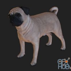 3D model Pug dog
