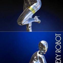 3D model Gynoid Hajime Sorayama – 3D Print