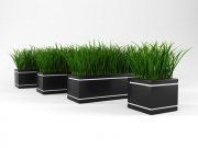 3D model Trays with green grass