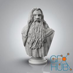 3D model Gandalf Bust – 3D Print