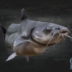 3D model Blue Catfish PBR